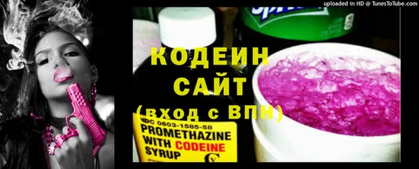 ПСИЛОЦИБИНОВЫЕ ГРИБЫ Няндома