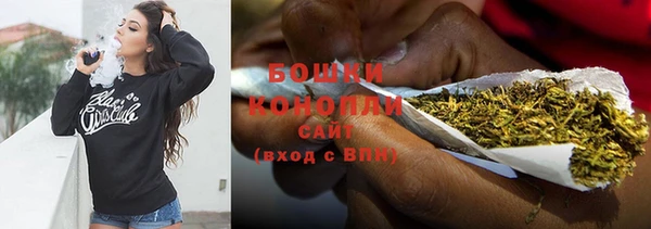 ПСИЛОЦИБИНОВЫЕ ГРИБЫ Няндома