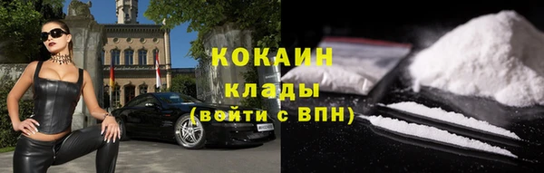 ПСИЛОЦИБИНОВЫЕ ГРИБЫ Няндома