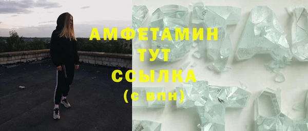 молекула духа Нязепетровск