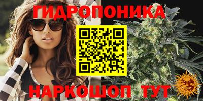 трава Кимры