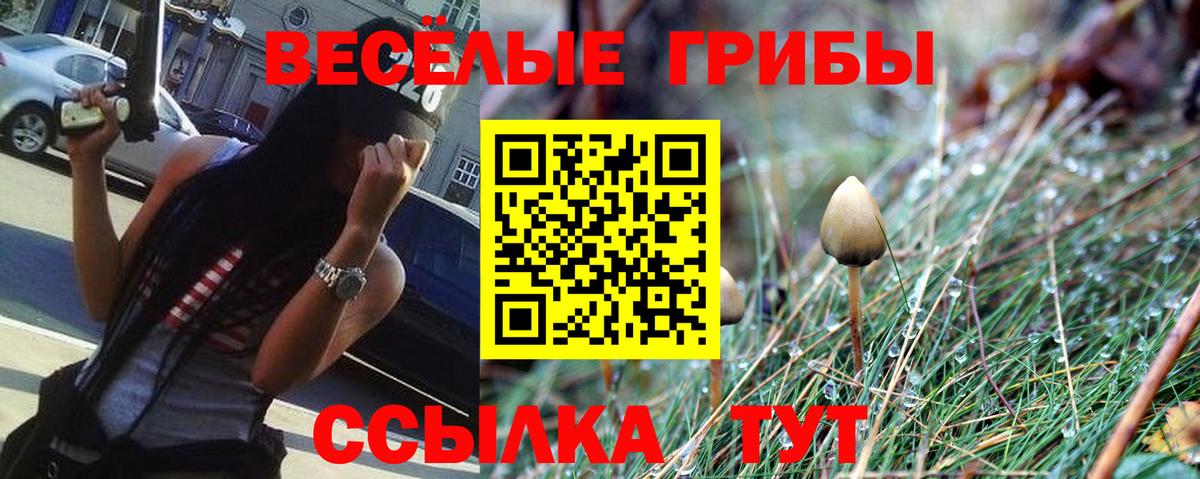 Псилоцибиновые грибы MAGIC MUSHROOMS  Галлюциногенные грибы Psilocybine cubensis  Шебекино  Вход с VPN 